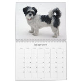 Belle le calendrier de Shih Tzu (Jan 2026)