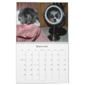 Belle le calendrier de Shih Tzu (Mar 2026)