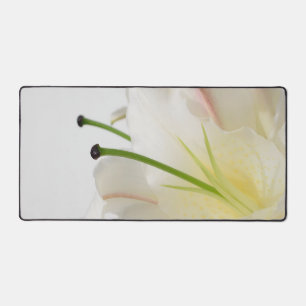 Belle Lily blanche photo florale