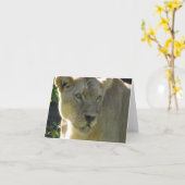 Belle lionne sur une carte de note (Fleur jaune)