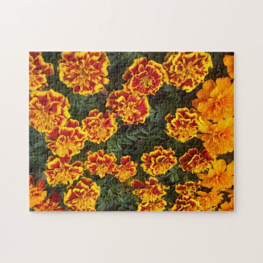 Belle Marigolds Jigsaw Puzzle (Horizontal)