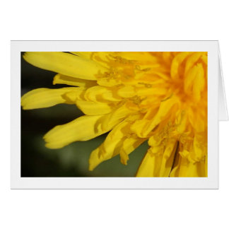 Belle mauvaise herbe : Carte Dandelion