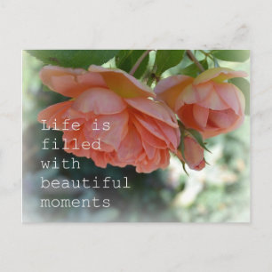 Belle Moments Carte postale Rose