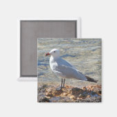 Belle Mouette de mer à la mer - Magnet (Recto/Verso)