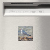 Belle Mouette de mer à la mer - Magnet (In Situ (Lave-vaisselle))