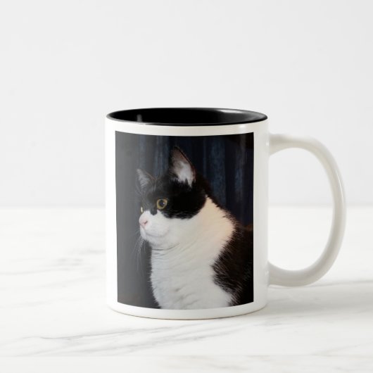 Belle Mug de chat (Droit)