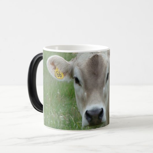 Belle Mug de vache Jersey (Devant gauche)
