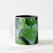 Belle Mug d'ivoire vert (Devant gauche)