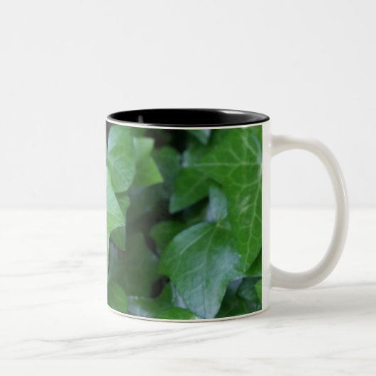 Belle Mug d'ivoire vert (Droit)