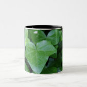 Belle Mug d'ivoire vert (Centre)