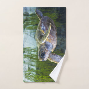 Belle natation de tortue marine