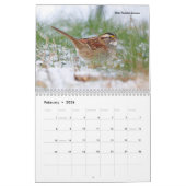 Belle Oiseau Photographie Mur Calendrier Chanson O (Feb 2026)