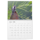 Belle Oiseau Photographie Mur Calendrier Chanson O (Mar 2026)