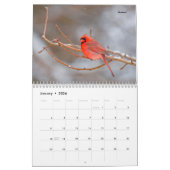 Belle Oiseau Photographie Mur Calendrier Chanson O (Jan 2026)