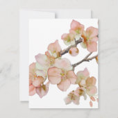 Belle orange rose floral SAVE THE DATE MARIAGE (Dos)