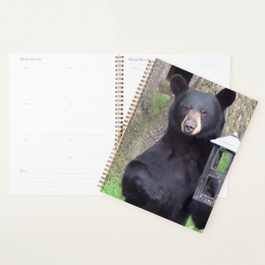 Belle Ours Noir (Devant avec enveloppe)