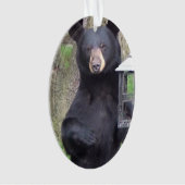 Belle Ours Noir Profitant Snack (devant)