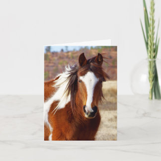 Belle Paint Horse Cartes d'Anniversaire