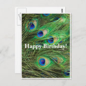 Belle Peacock personnalisable carte postale Annive (Devant / Derrière)