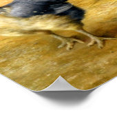 belle peinture poster vintage 21 (Coin)