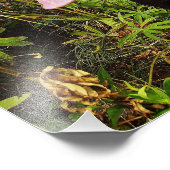 Belle photo Black Labrador Chien Photo Print (Coin)