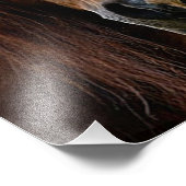 Belle photo Cheval Brown Imprimer (Coin)