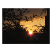 Belle photo coucher de soleil (Devant)