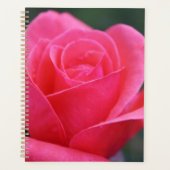 Belle photo couleur rose rose (Devant)