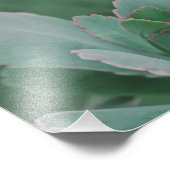 Belle photo d'art Plante du désert (Coin)