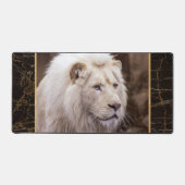 Belle photo de lion blanc (Recto)