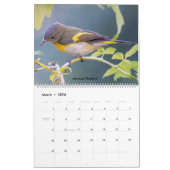 Belle photo d'oiseaux 2025 Calendrier Bluebird (Mar 2026)