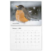 Belle photo d'oiseaux 2025 Calendrier Bluebird (Feb 2026)