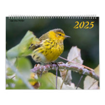 Belle photo d'oiseaux 2025 Calendrier Bluebird