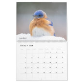 Belle photo d'oiseaux 2025 Calendrier Bluebird (Jan 2026)