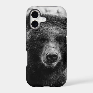 Belle photo d'ours gris