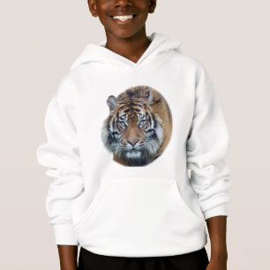 Belle photo du visage du tigre du Bengale