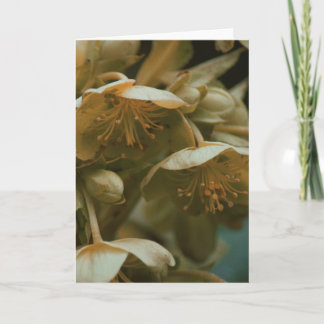 Belle photographie florale carte blanche