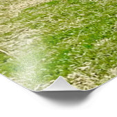 Belle Photographie Paysage (Coin)