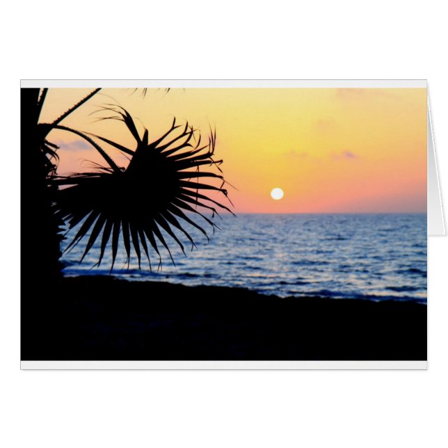 BELLE PLAGE ENSOLEILLÉE (Devant horizontal)