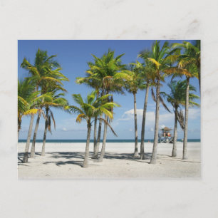Belle plage ensoleillée en Afternoon Carte postale