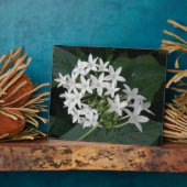 Belle Plaque de Fleurs Tropicales Blanches (Côté)