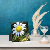 Belle Plaque Gionna avec marguerite (Insitu)