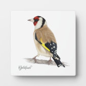 Belle Plaque Oiseaux (Devant)