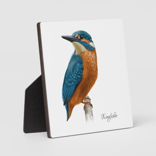 Belle Plaque Oiseaux (Recto)