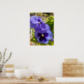 Belle Poster de Jardin de Fleur de Pansy Bleu (Cuisine)