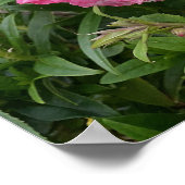 Belle Poster de Jardin de Pendenstein Rose (Coin)