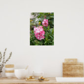 Belle Poster de Jardin de Pendenstein Rose (Cuisine)
