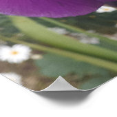 Belle Poster de Jardin Fleur Iris violet (Coin)
