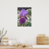 Belle Poster de Jardin Fleur Iris violet (Cuisine)