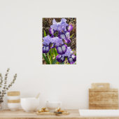 Belle Poster du Jardin Fleur Iris Lilac violet (Cuisine)